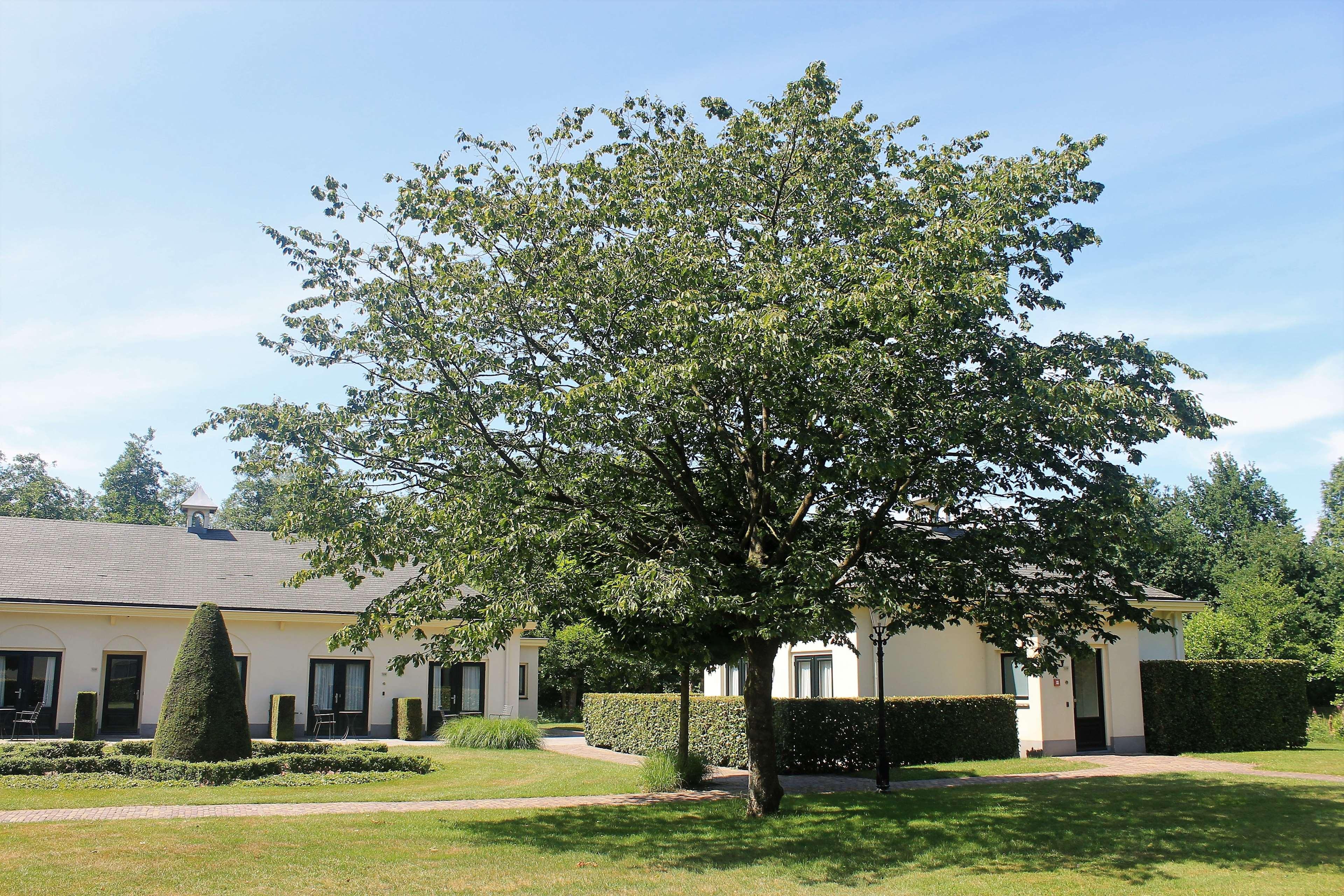 Kasteel De Vanenburg